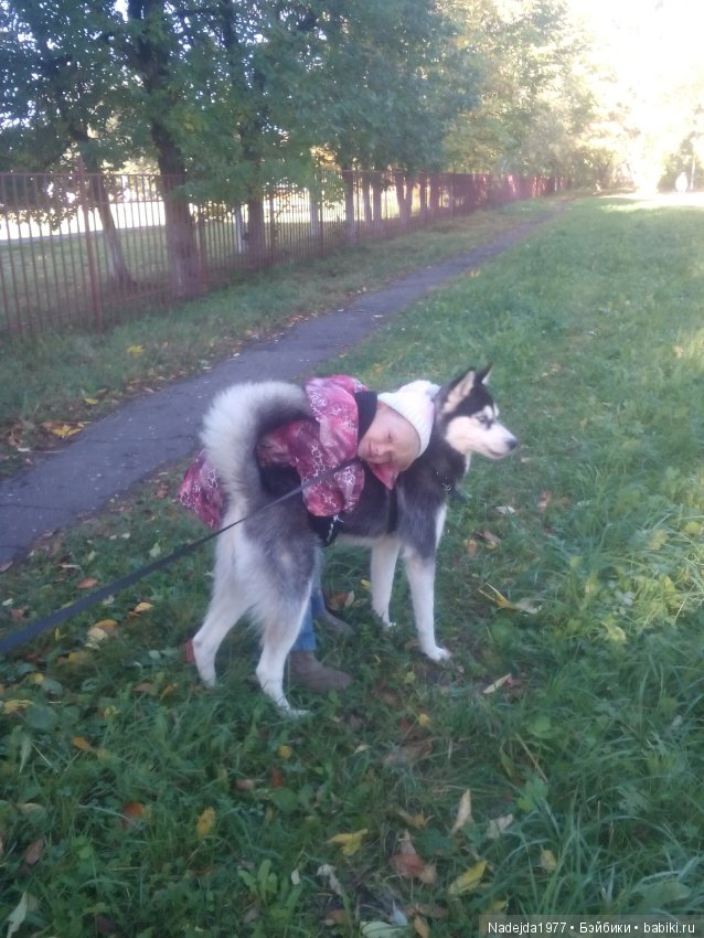 Бижу-Машин подарок на день рождения