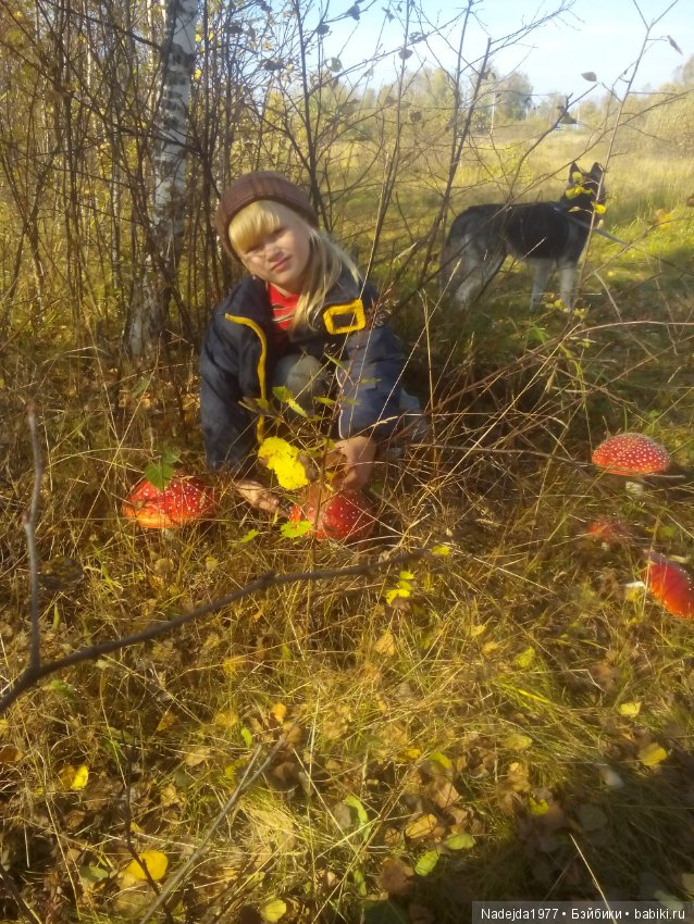 Бижу-Машин подарок на день рождения