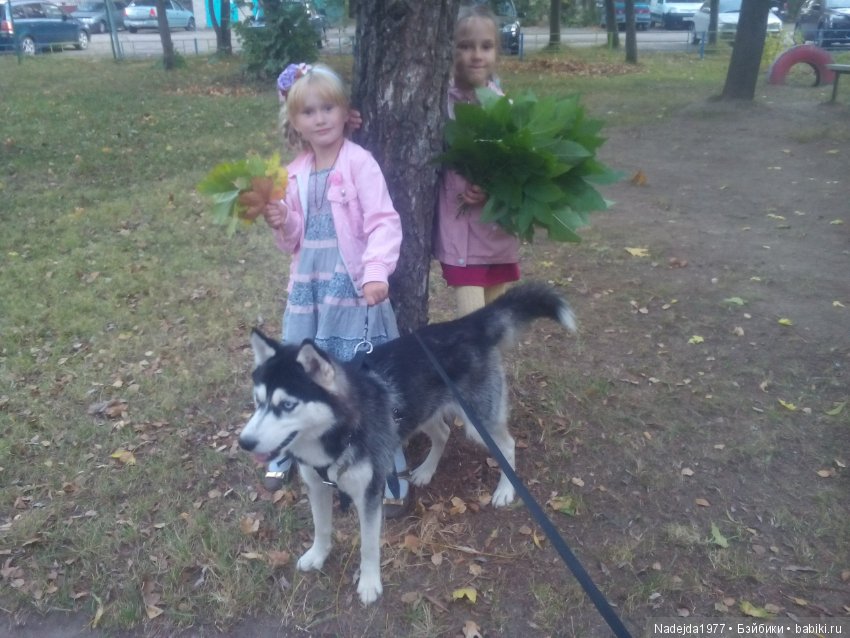 Бижу-Машин подарок на день рождения