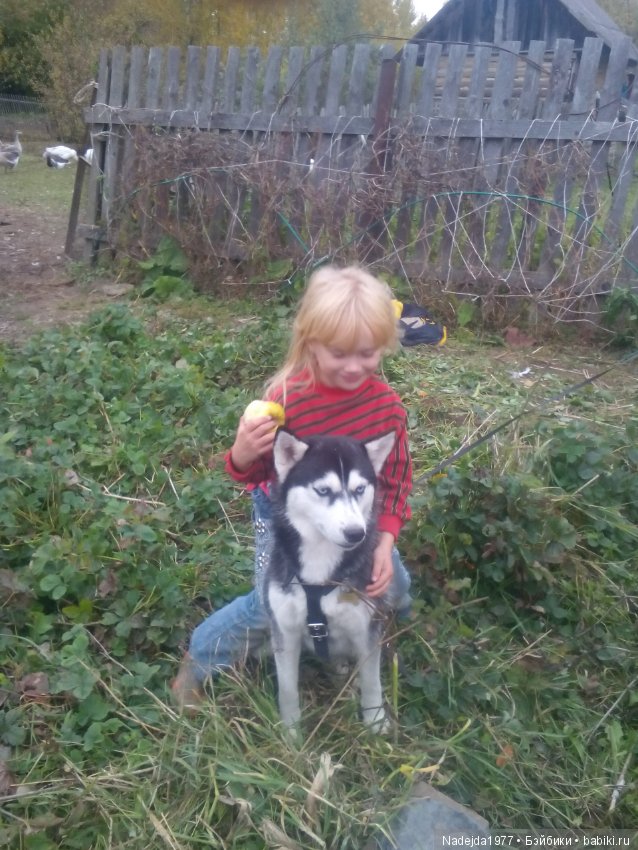 Бижу-Машин подарок на день рождения