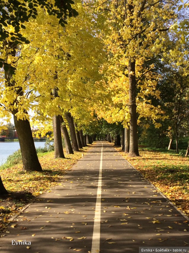 Золотая осень и Таша — Куклы и тела Obitsu (Обитсу): 1/6