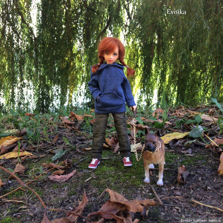 Золотая осень и Таша — Куклы и тела Obitsu (Обитсу): 1/6