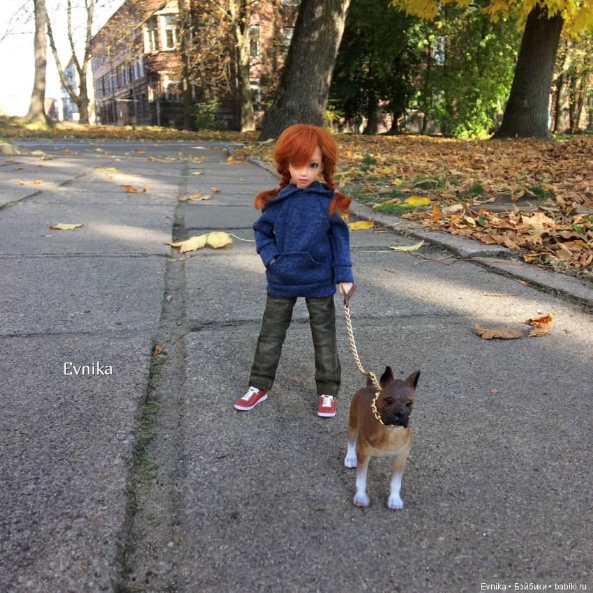 Золотая осень и Таша — Куклы и тела Obitsu (Обитсу): 1/6 (фото 3)