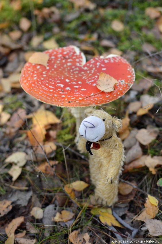 Сказочная девочка. Моя первая коллекционная Цвергназе - Леонида. Leonida Zwergnase