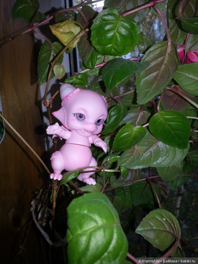 Мой новый житель — Разные шарнирные куклы (не БЖД): редкие (фото 2)