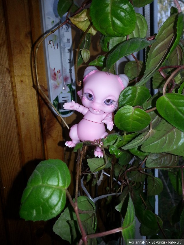 Мой новый житель — Разные шарнирные куклы (не БЖД): редкие