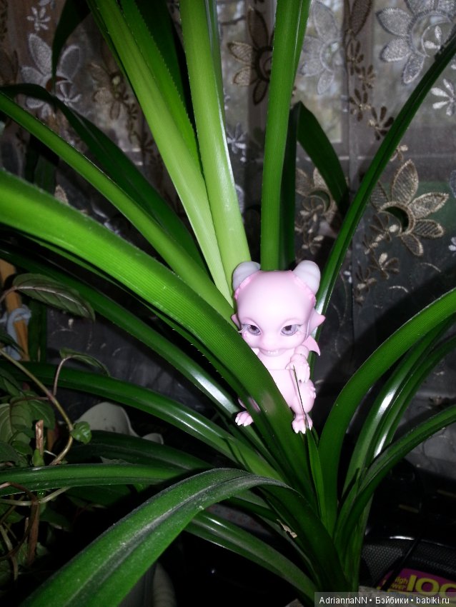 Мой новый житель — Разные шарнирные куклы (не БЖД): редкие (фото 6)