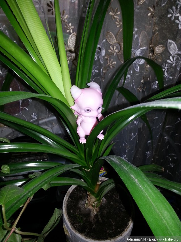 Мой новый житель — Разные шарнирные куклы (не БЖД): редкие (фото 5)