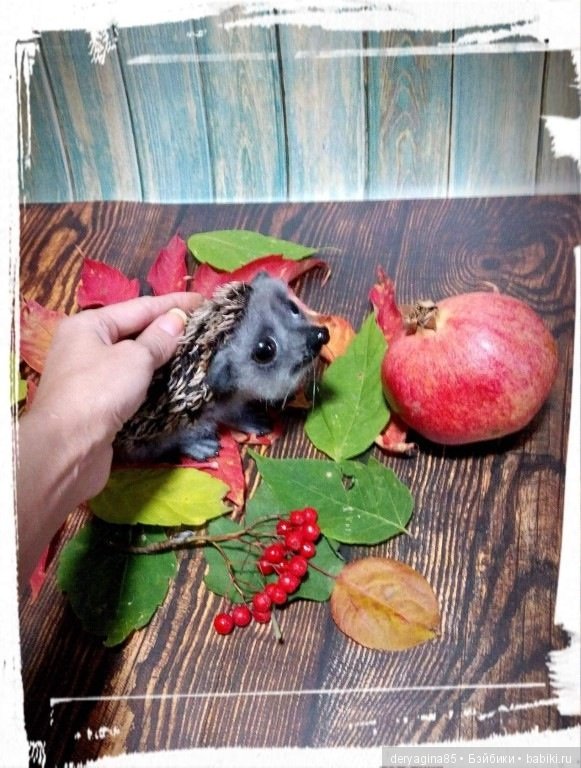 Валяные игрушки из шерсти: сухое валяние