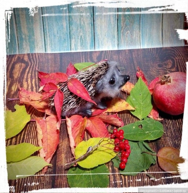 Валяные игрушки из шерсти: сухое валяние