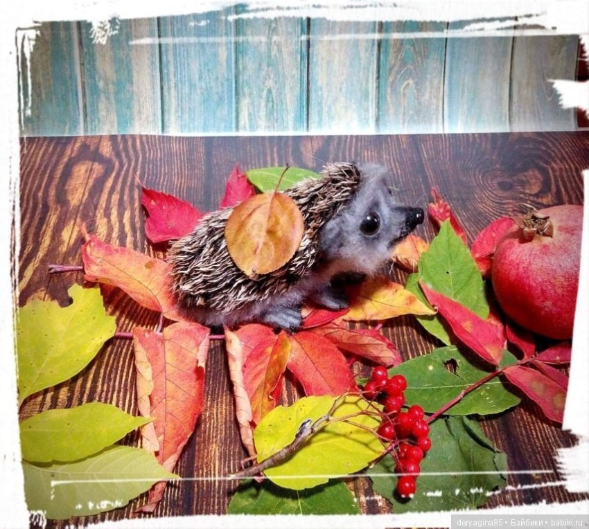 Валяные игрушки из шерсти: сухое валяние