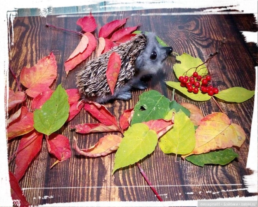 Валяные игрушки из шерсти: сухое валяние (фото 4)