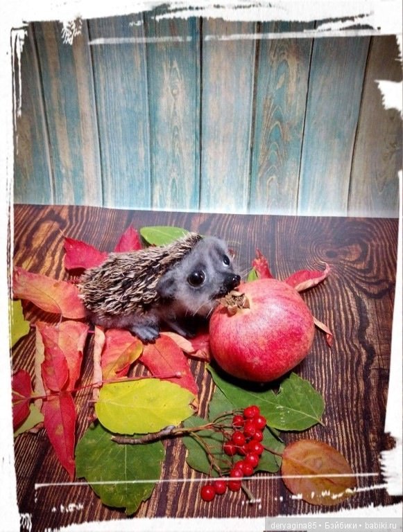 Валяные игрушки из шерсти: сухое валяние (фото 9)