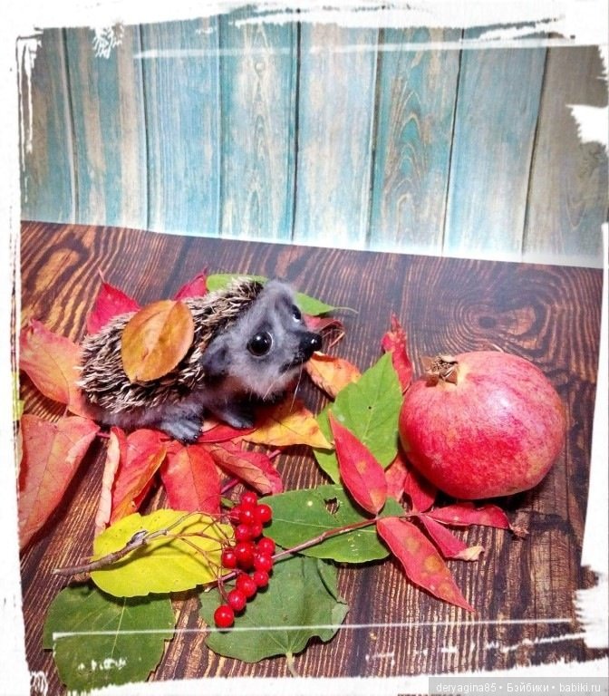 Валяные игрушки из шерсти: сухое валяние