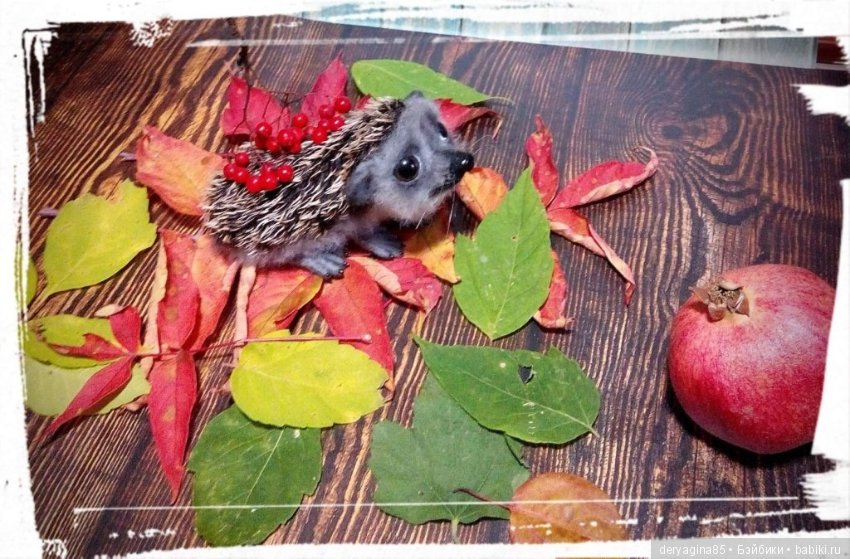 Валяные игрушки из шерсти: сухое валяние (фото 5)