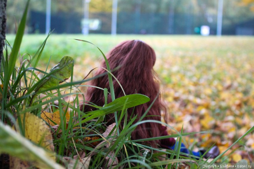 Прогулка по осеннему парку (фото 3)