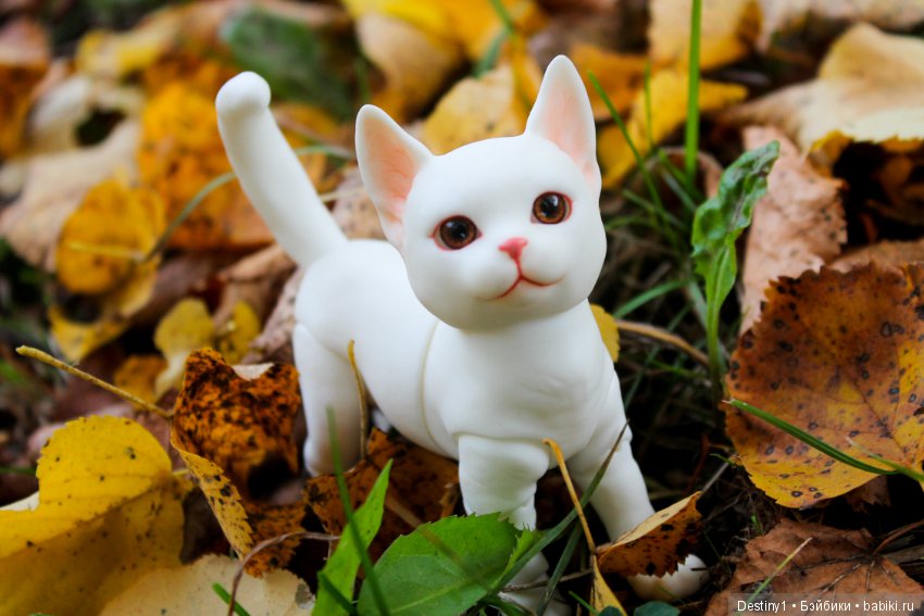 Прогулка по осеннему парку (фото 9)