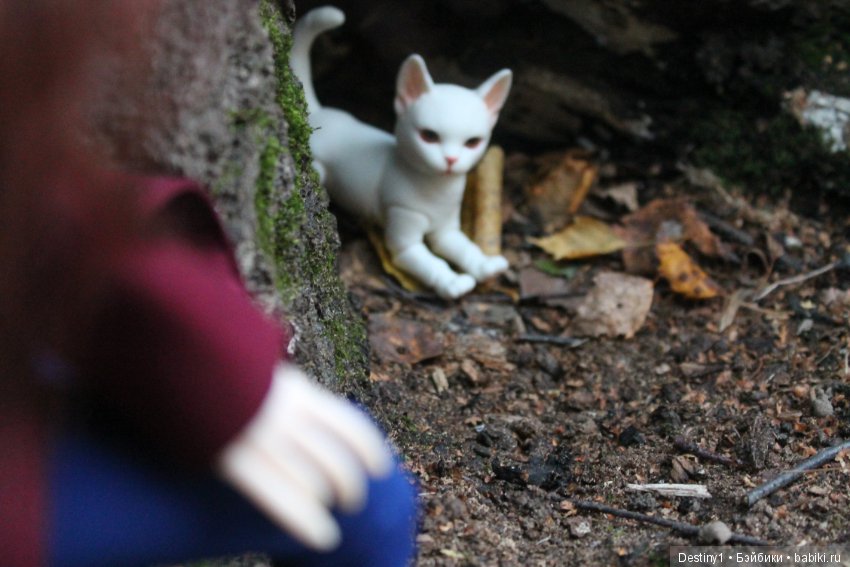 Прогулка по осеннему парку (фото 7)