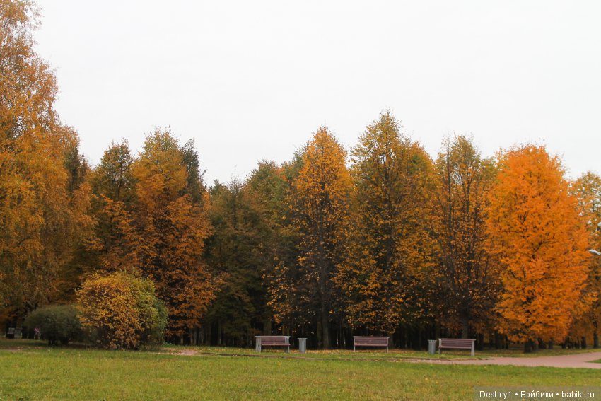 Прогулка по осеннему парку (фото 4)