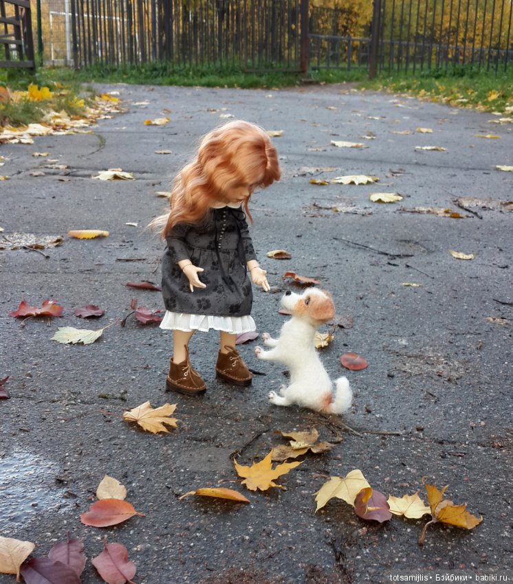 Уж небо осенью дышало — Фотоистории с куклами BJD (БЖД): сериалы (фото 5)