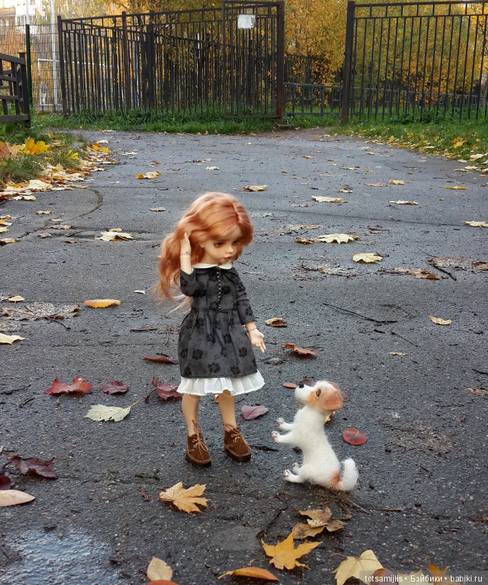 Уж небо осенью дышало — Фотоистории с куклами BJD (БЖД): сериалы (фото 4)