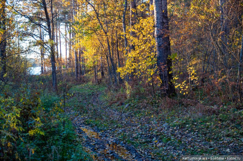 Много золота. Без кукол. Просто ожидание (фото 7)