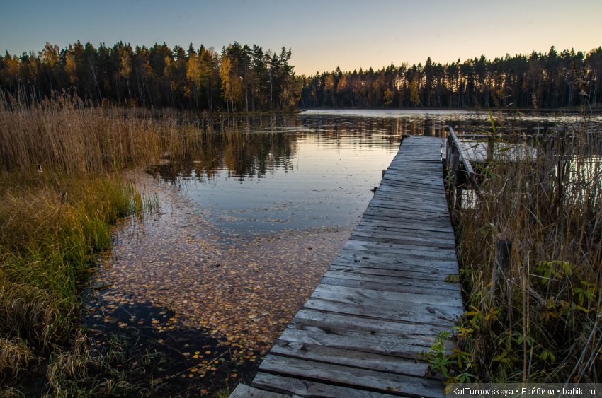 Много золота. Без кукол. Просто ожидание (фото 9)