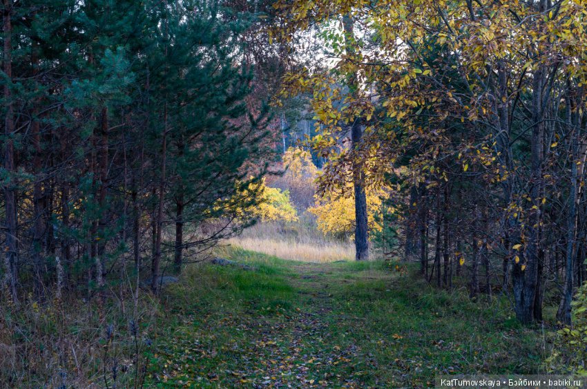 Много золота. Без кукол. Просто ожидание (фото 8)