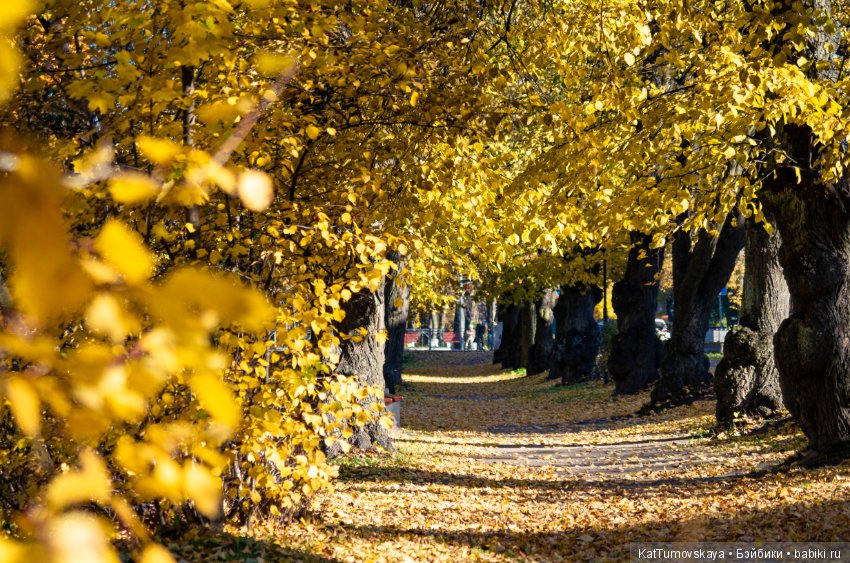 Много золота. Без кукол. Просто ожидание