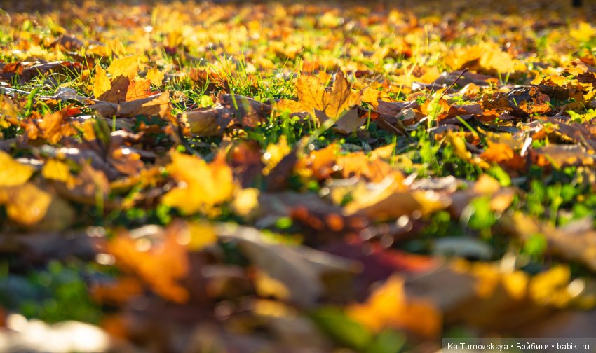 Много золота. Без кукол. Просто ожидание (фото 3)