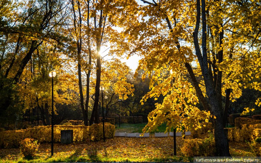 Много золота. Без кукол. Просто ожидание (фото 4)