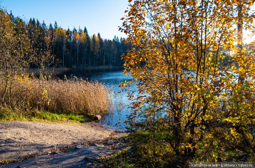 Много золота. Без кукол. Просто ожидание (фото 5)