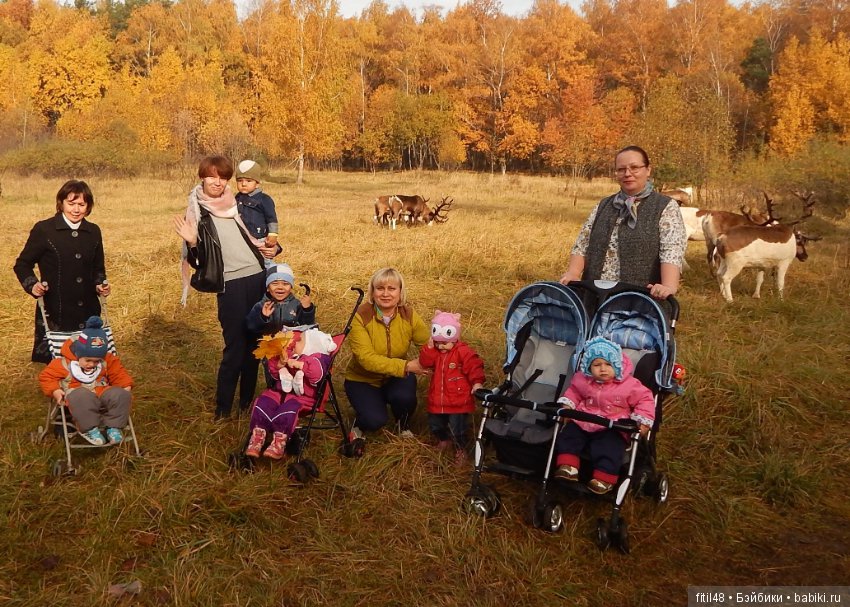 Ловим последние теплые дни золотой осени (фото 3)