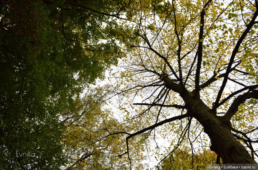 Две сестры — Болталка и разговоры обо всем: жизнь