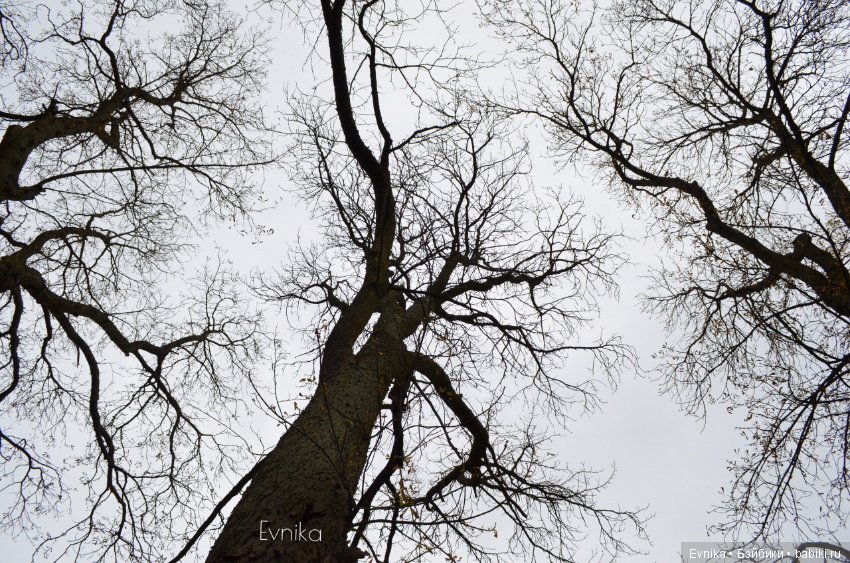 Две сестры — Болталка и разговоры обо всем: жизнь