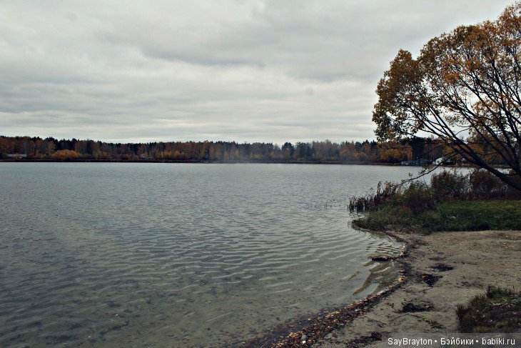 У осеннего озера — Куклы Doll Leaves (Долл Ливз): BJD (БЖД) (фото 7)