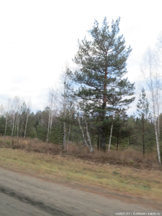 Лизина прогулка — Туризм и путешествия: фотоотчеты из поездок (фото 7)