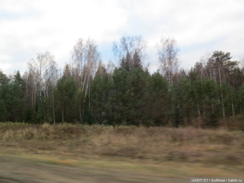 Лизина прогулка — Туризм и путешествия: фотоотчеты из поездок (фото 6)