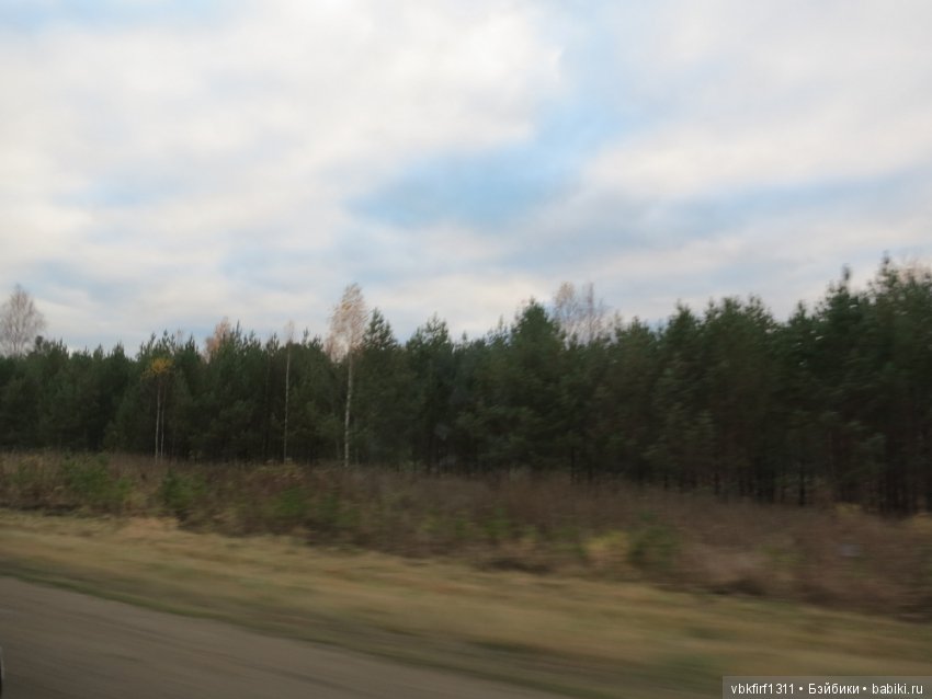 Лизина прогулка — Туризм и путешествия: фотоотчеты из поездок (фото 9)