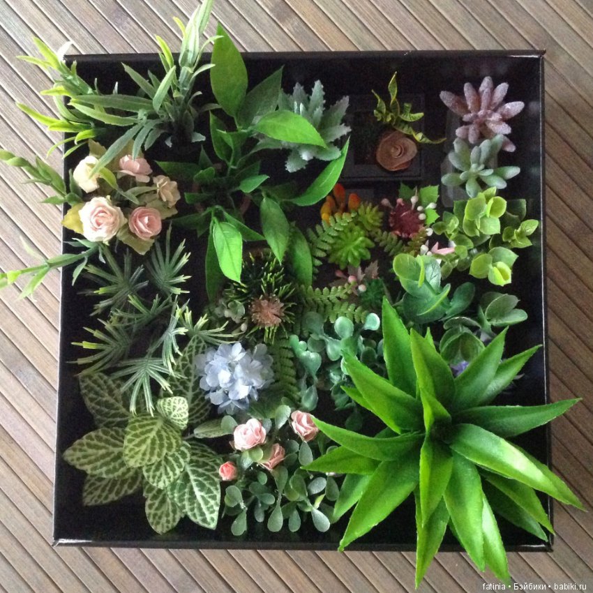 Много растений и немного Флёр среди них