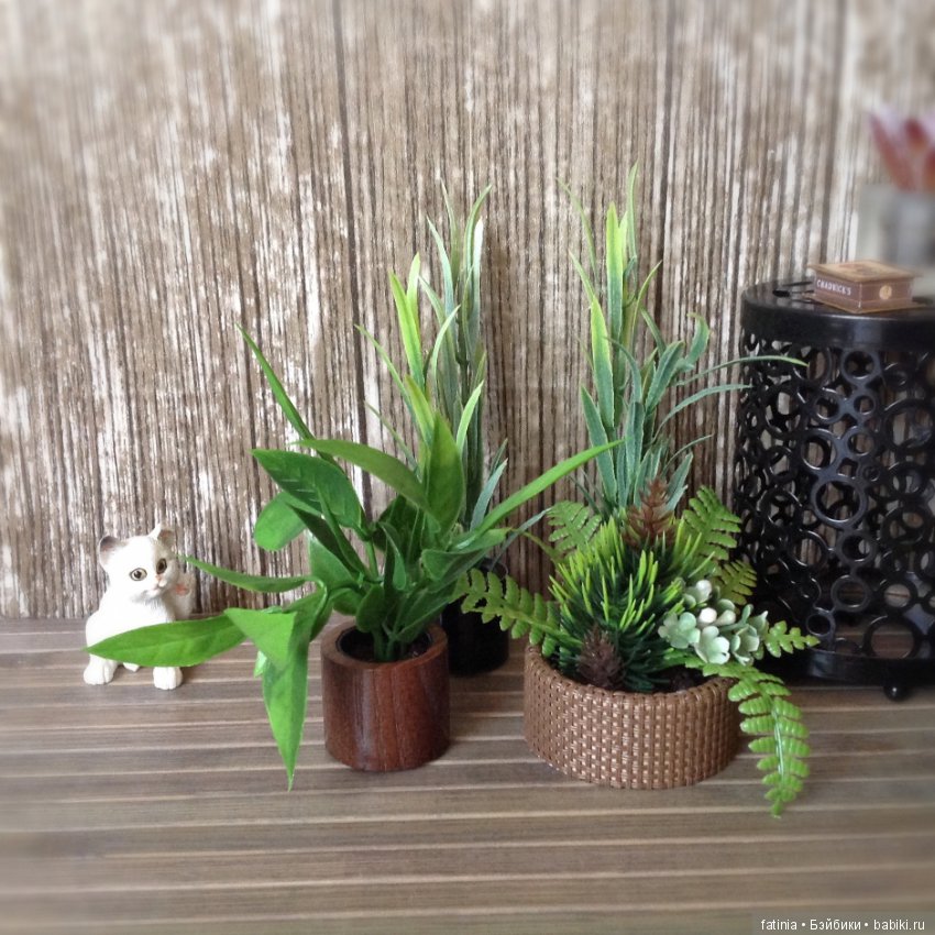 Много растений и немного Флёр среди них