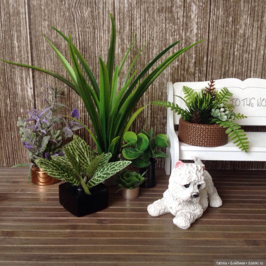 Много растений и немного Флёр среди них (фото 4)