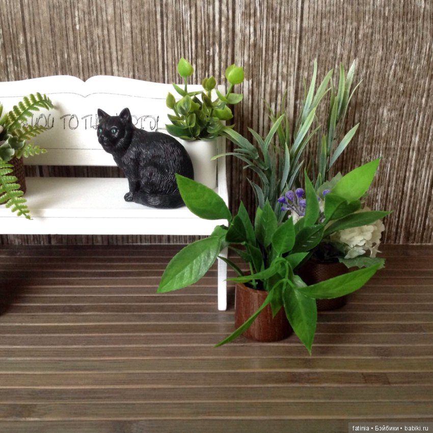 Много растений и немного Флёр среди них (фото 3)