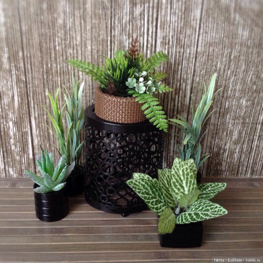 Много растений и немного Флёр среди них