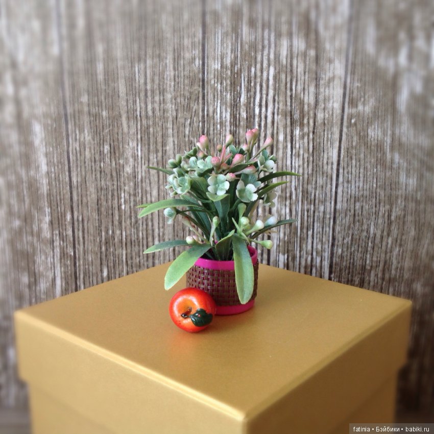 Много растений и немного Флёр среди них