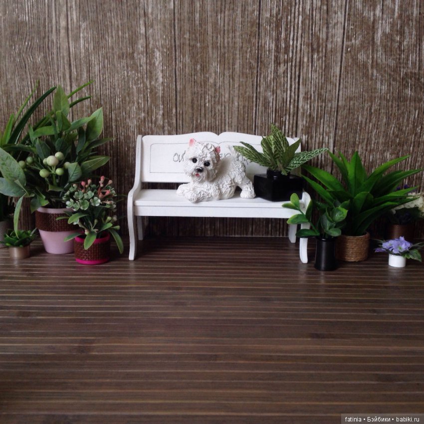 Много растений и немного Флёр среди них