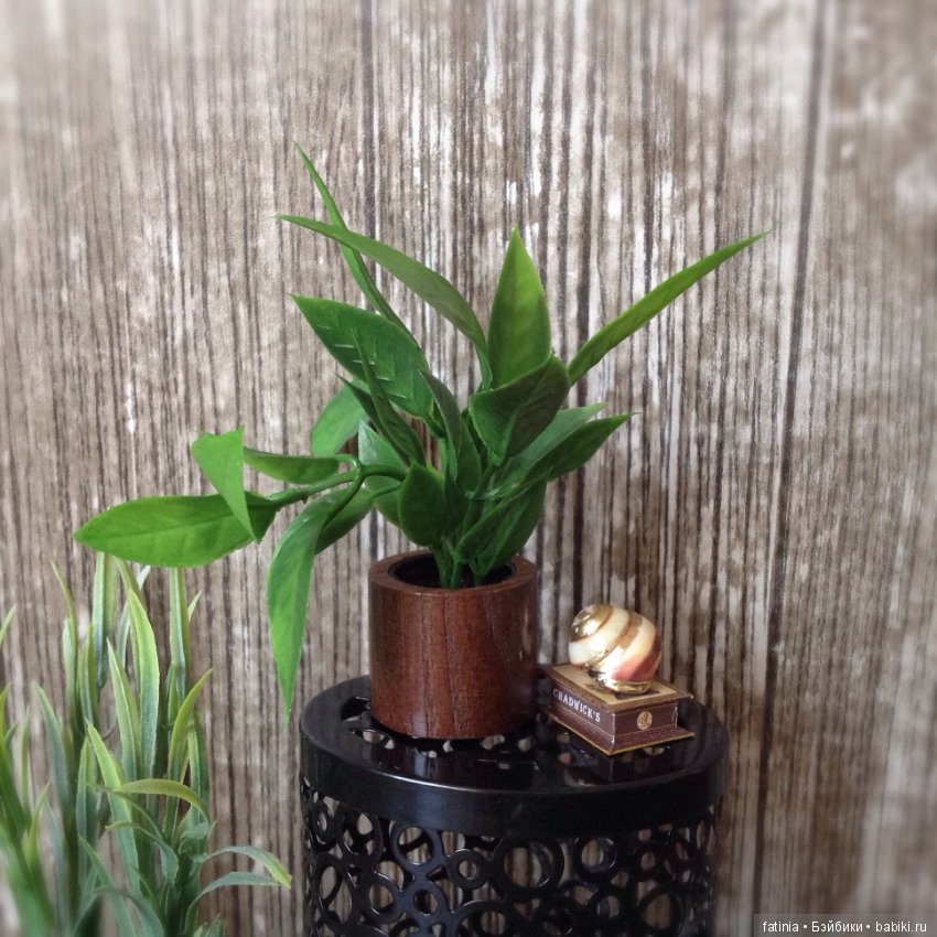 Много растений и немного Флёр среди них