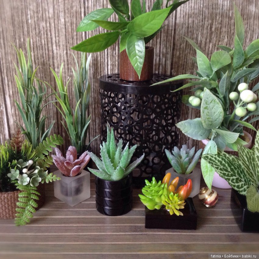 Много растений и немного Флёр среди них