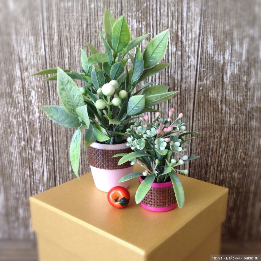 Много растений и немного Флёр среди них (фото 10)