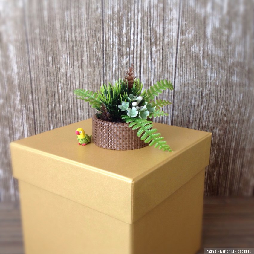 Много растений и немного Флёр среди них (фото 8)